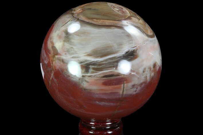 Bargain, Colorful Petrified Wood Sphere - Madagascar #92991